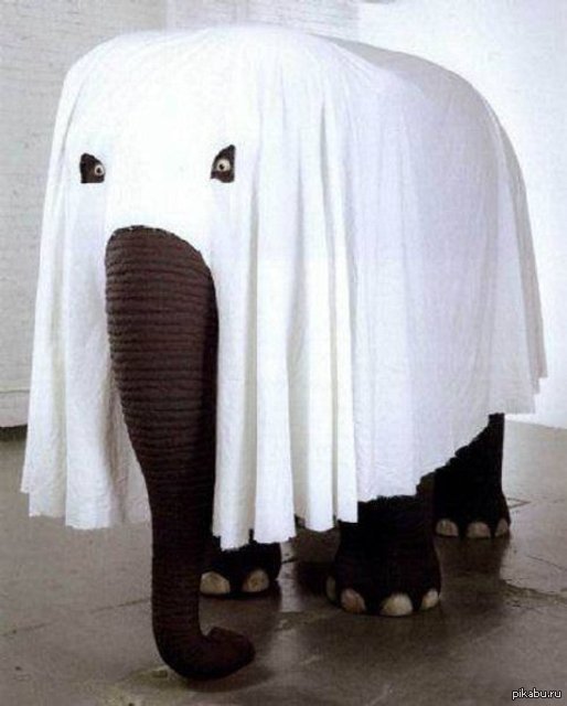 Куклус-слон