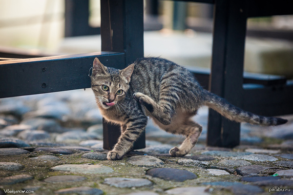 ����� � ���� ��������� ��� � ��� �����.