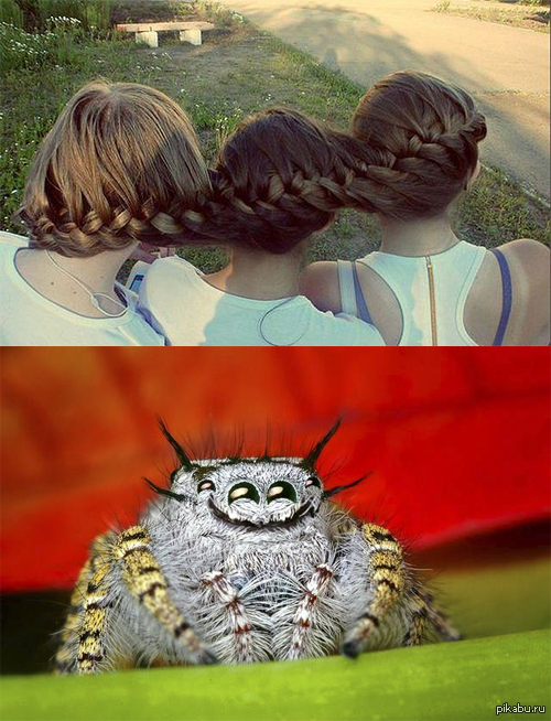 ������� ��� vs ����