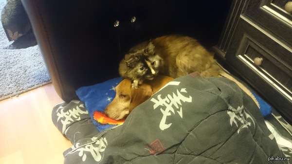 ����� ��� ��� �������, � ������� ��� ������� ������� � ������� �����. ����� ����