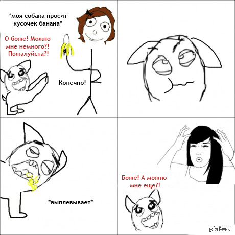 Собаки, они могут