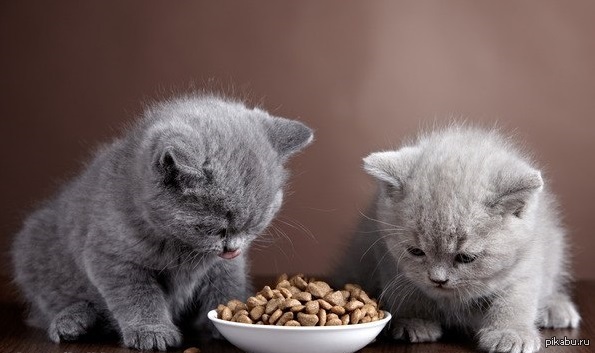 ���� ��� ������ ��������� ��������!