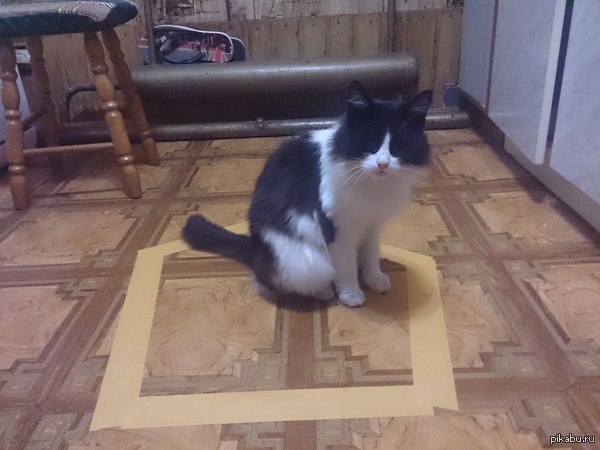 И правда, работает! Смотрите на зрачки! Звоните братьям Винчестерам!