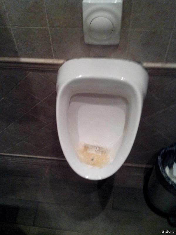 ������ "���������� ���� �����������"