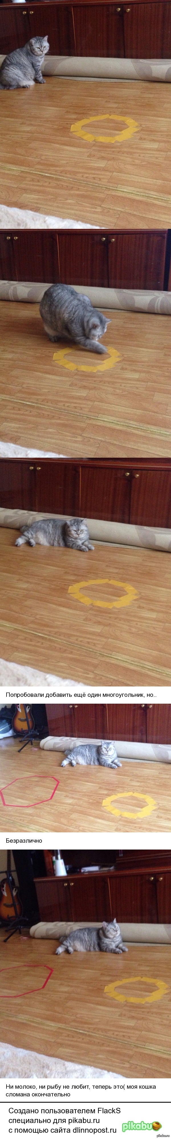 �������� �� �����������