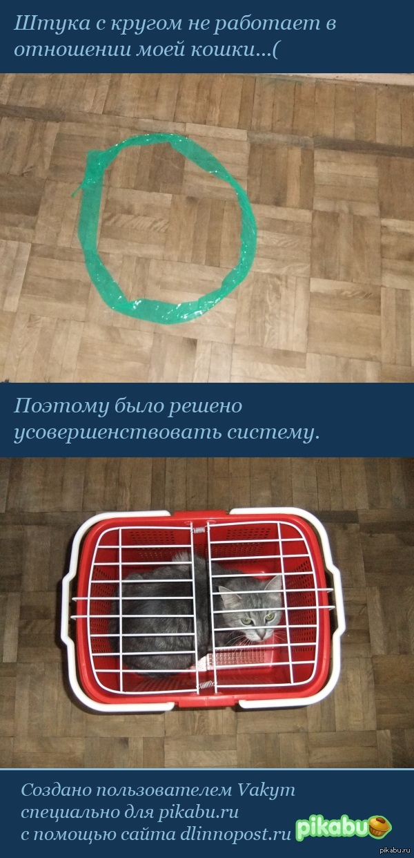 ���������������� ����