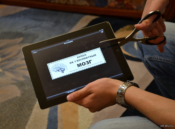 Мозги бесплатно! Почти.