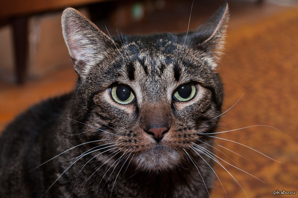 "�� �����, ������ ��� �������..."