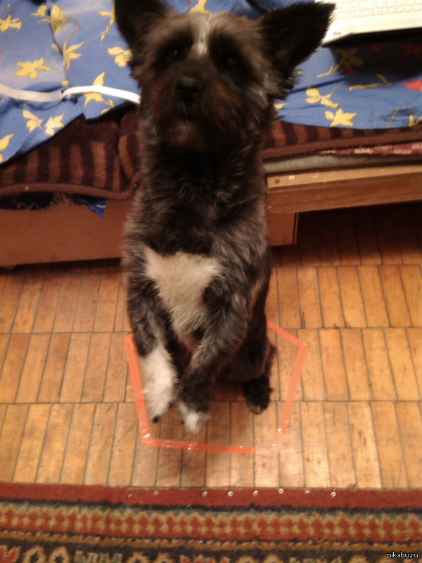 ��� ��������!!! ������ ����, ��� ��� ������� - ���