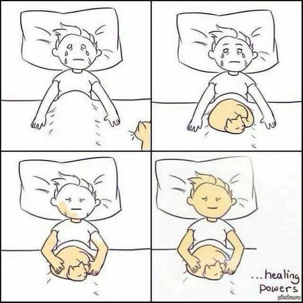 ������ �������� :�