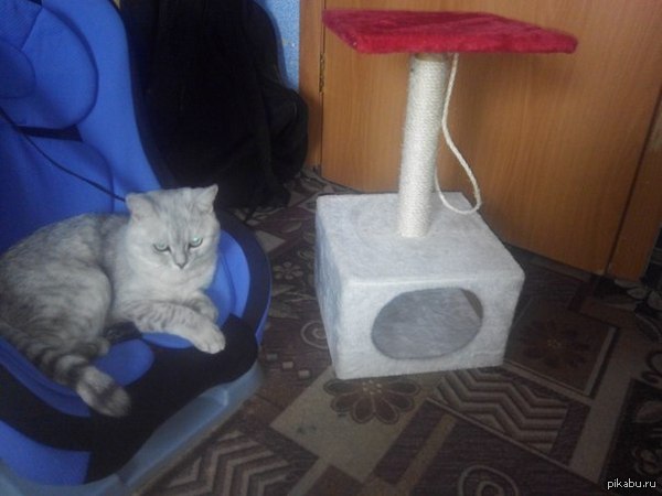 �� � ����� � �������� ���� �����?-_-