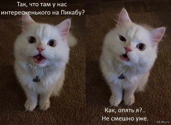 ��������� ��������� �� ������