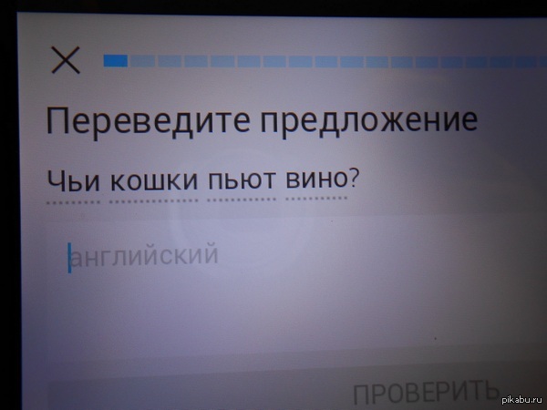 Простите, что?