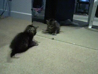    :) 