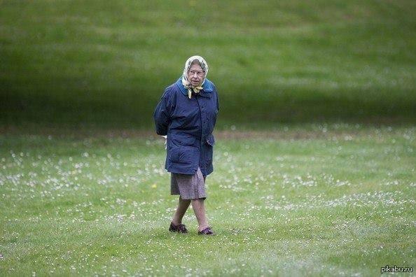 Бабка Вот так глянешь - бабка в магазин идет. А присмотришься - королева Англии. 