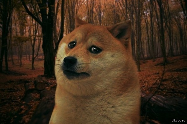 Армия, однако...