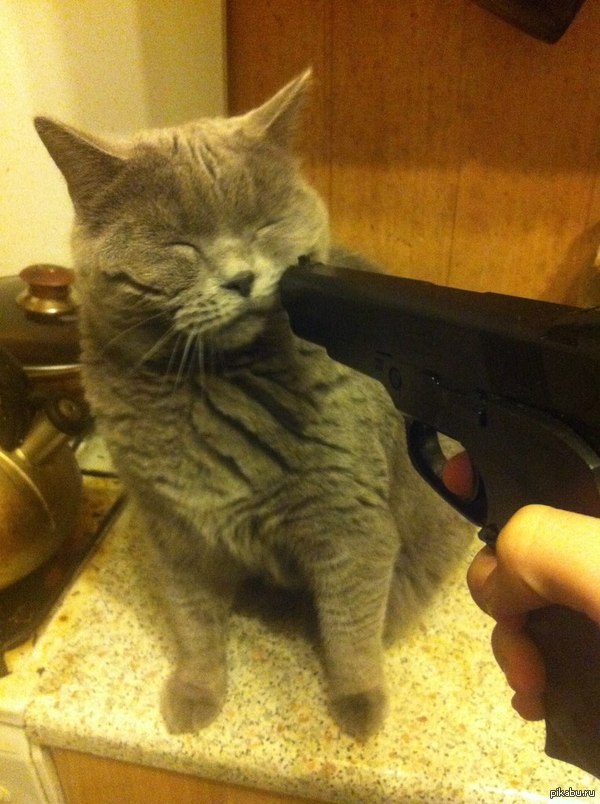 � ��� �� ��������� ���� �� ������ �� ������?