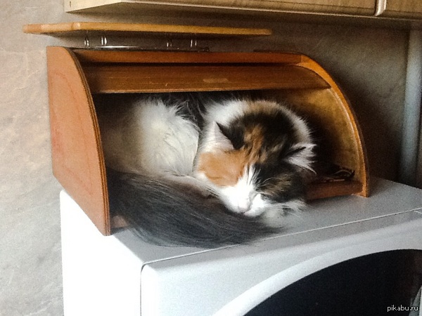 ��� ������� �� ������� �������^.^