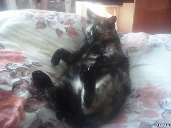 ��� ������ ���� ��� ����� �� ������ �������