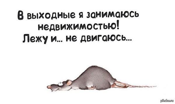 ����� �������� �������������