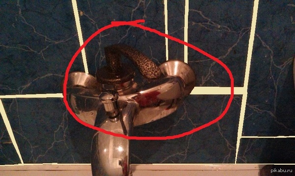 � � ���� "�������")))