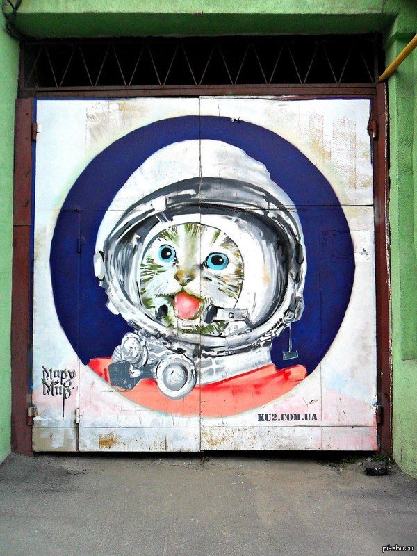 Котографити