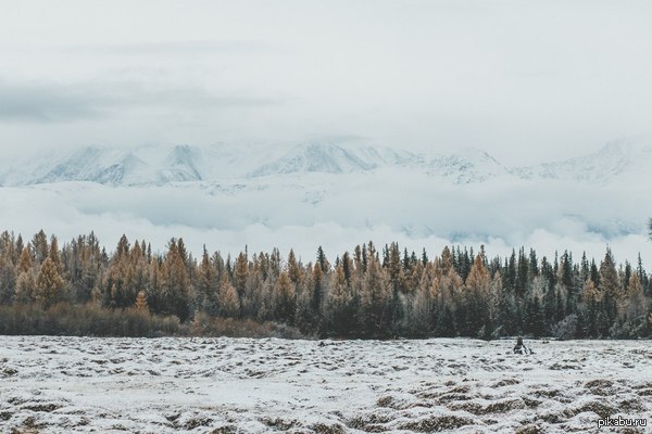 ���� ����