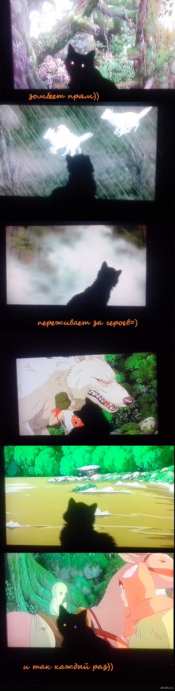 а мы с котейкой смотрим мульты=)