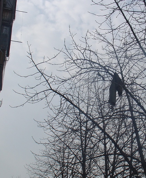 ����� �� ������