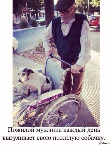 Вместо тысячи слов порой достаточно поступка