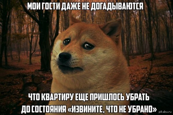 Холостяки поймут