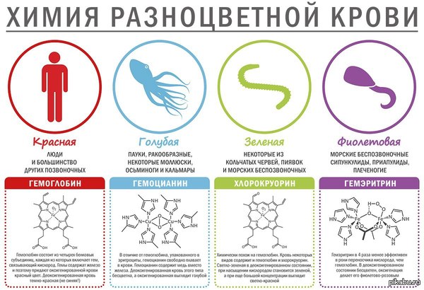 Цвета крови