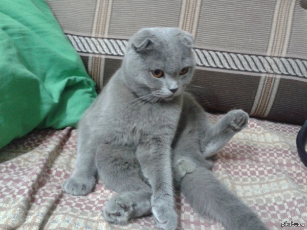 ��� ��� ��� ��������� �����.