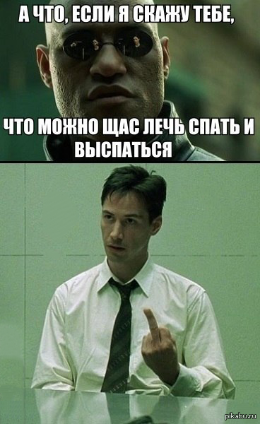 Которую сейчас можно легко. Шутки про матрицу. Матрица юмор. Матрица приколы. Матрица мемы.