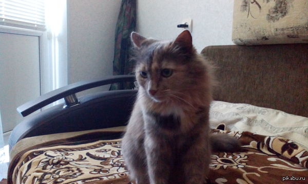 Моя 15ти летняя