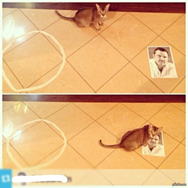 Правильный Круг