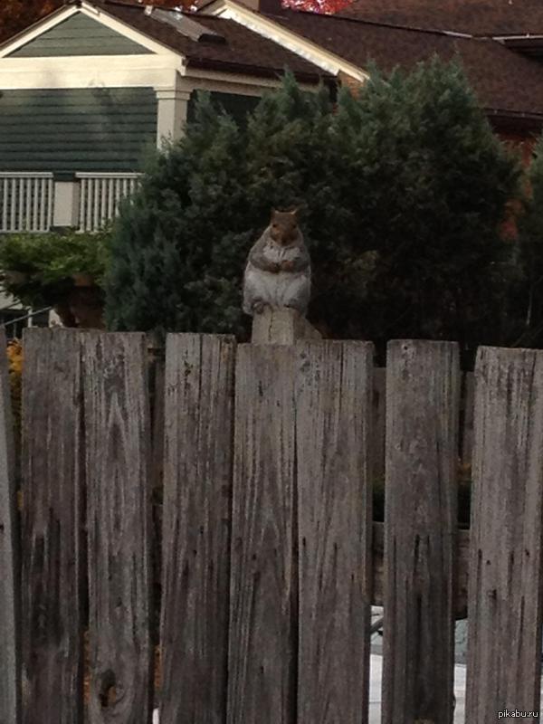 &quot;       ,       ...&quot;