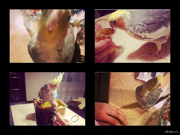 �����������, ��� ����, ������� ������. �������� �������� � �������� � ������, ����� ���� ������� ���� ���)