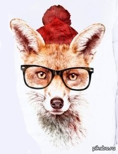 Помогите найти принт