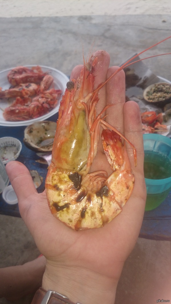 ��� ����� ������ ���� ��������!