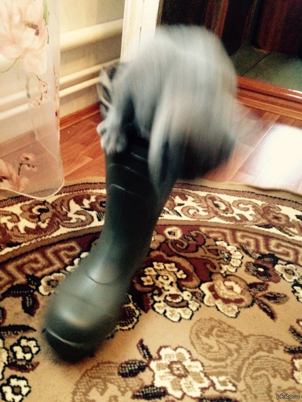 ������� ������� ���