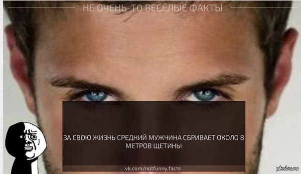 Мужская борода