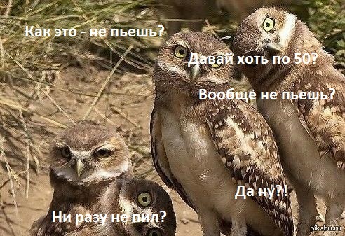 То чувство, когда ты ЗОЖник и пришел к друзьям на вечеринку.