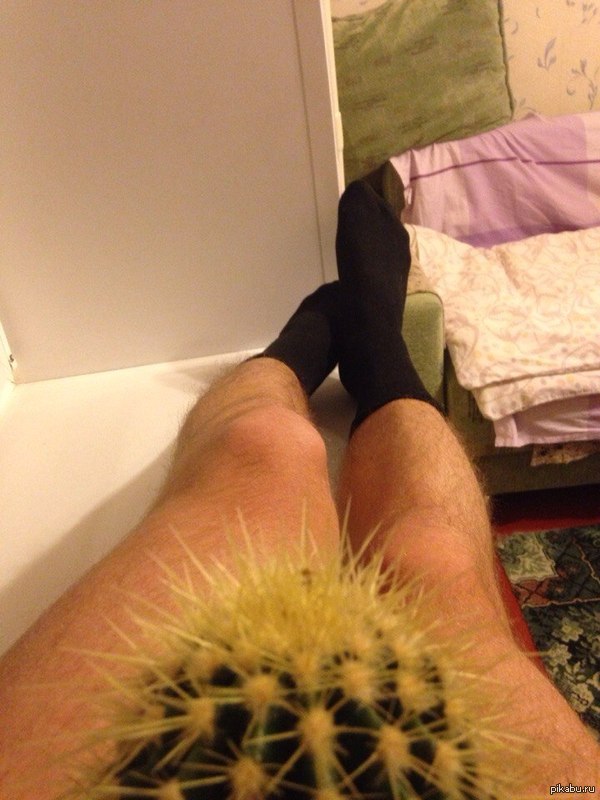 Тоже не смог удержаться от соблазна.