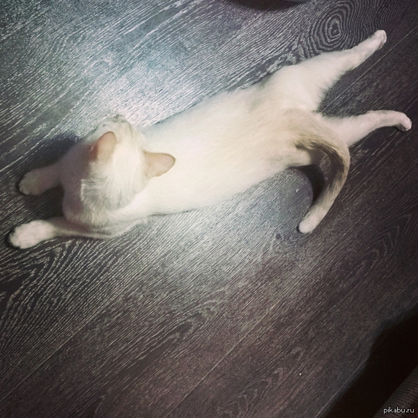 "� ��� ������, � ��� ������, � ��� ������ �����"