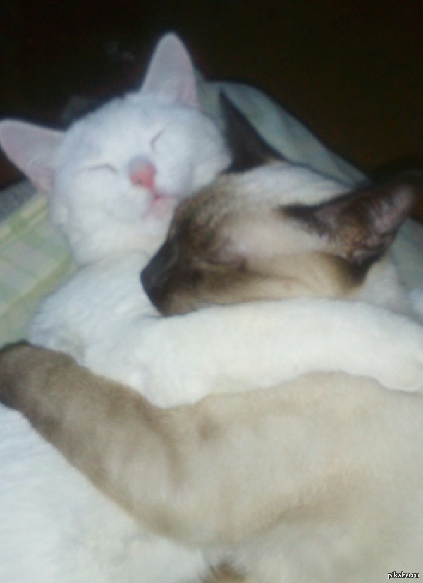 ����� � �������