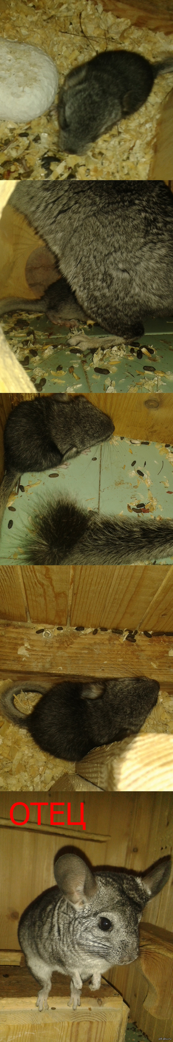 ���������� � ��������� �������.