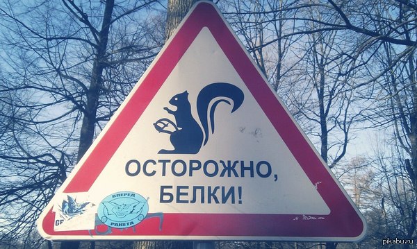 ��� �� ������