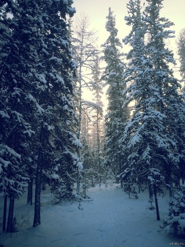 Якутская зима.