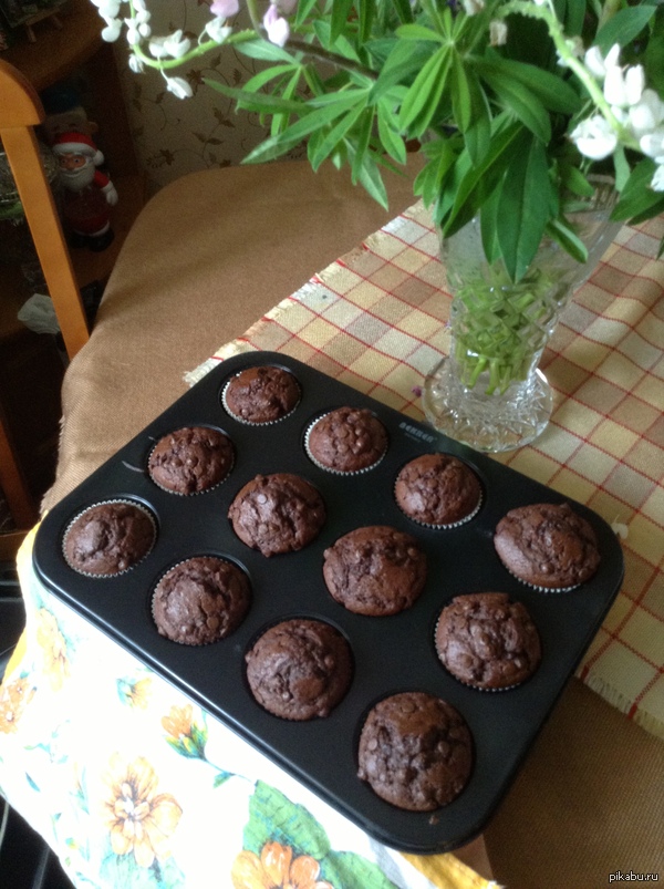 ���� ����� � ��������